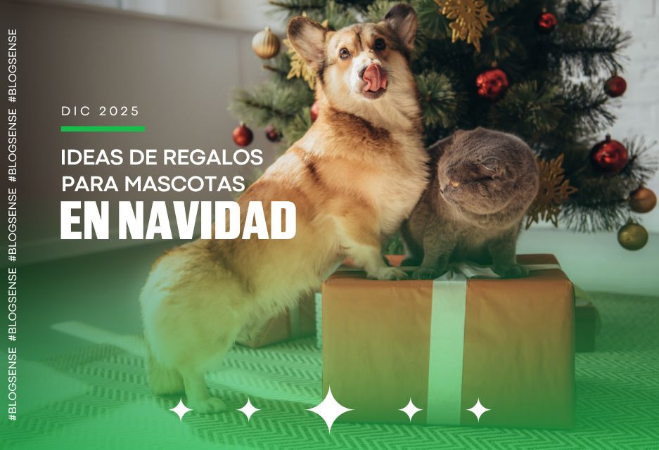 Ideas de regalos para mascotas en Navidad